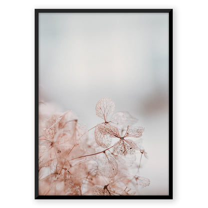 Delicate
