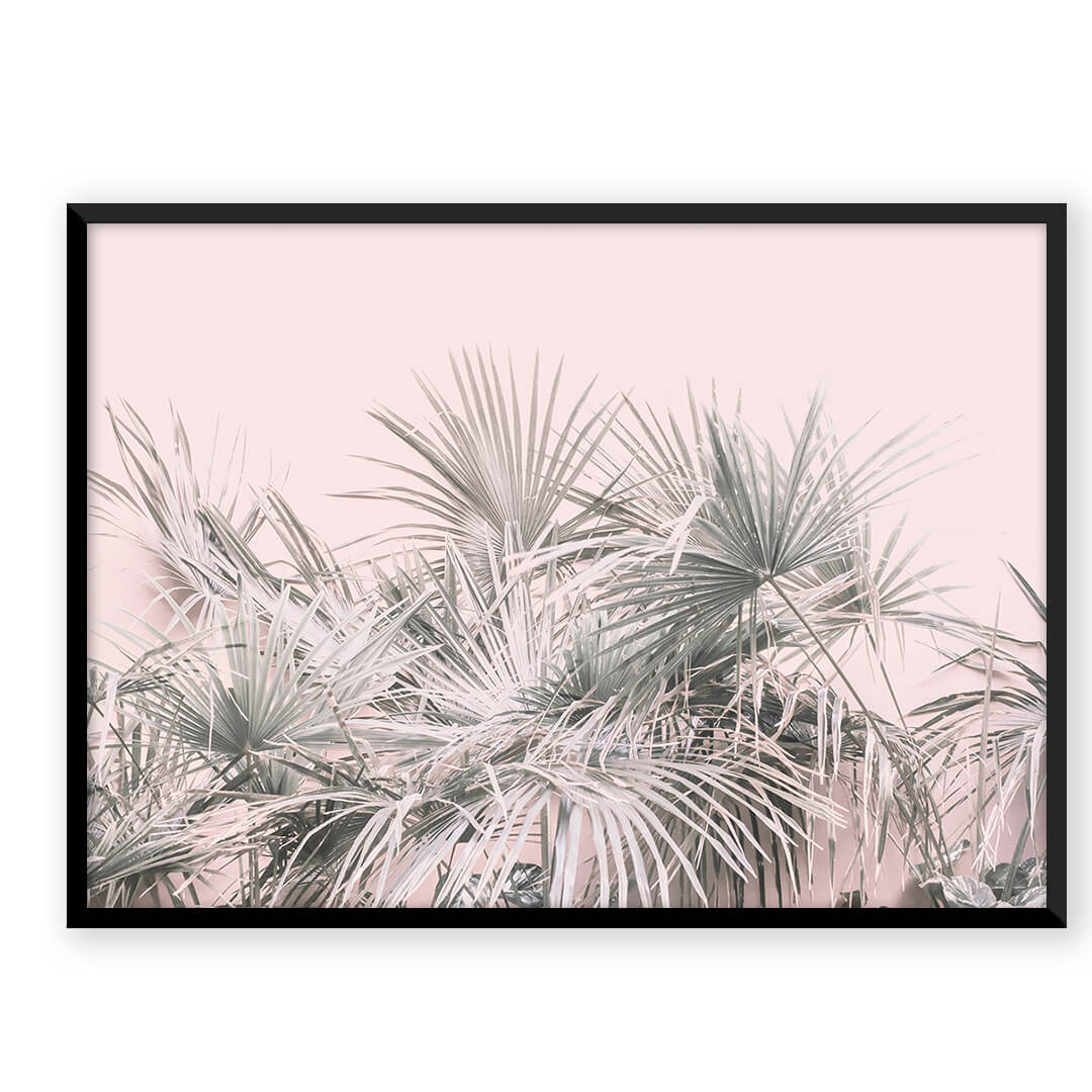 Coconut Paradise