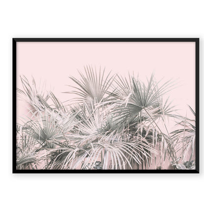 Coconut Paradise
