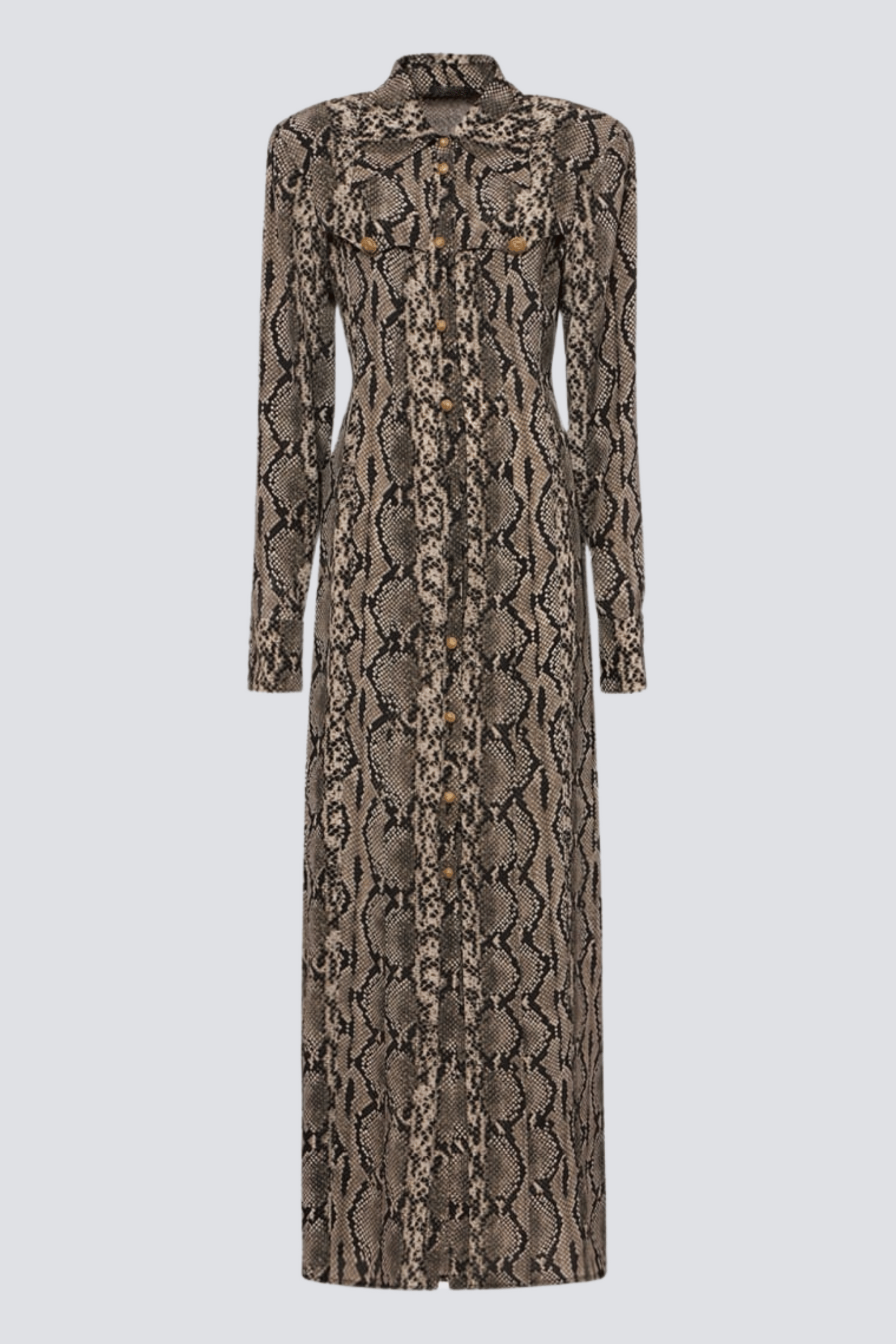 Filis Snake Print Maxi Shirt Dress