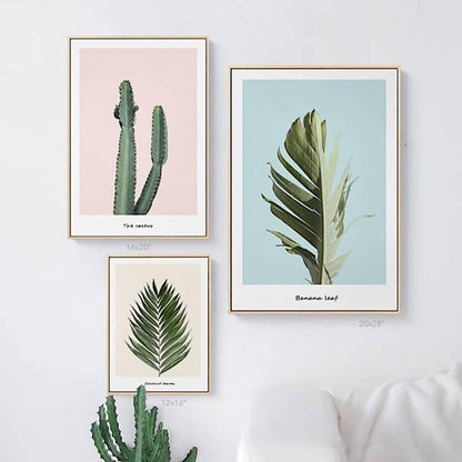 Pink Cactus