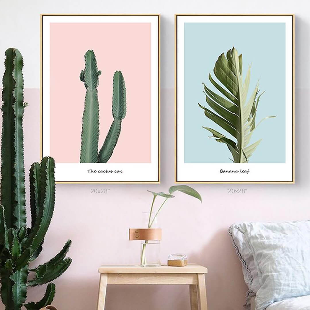 Pink Cactus