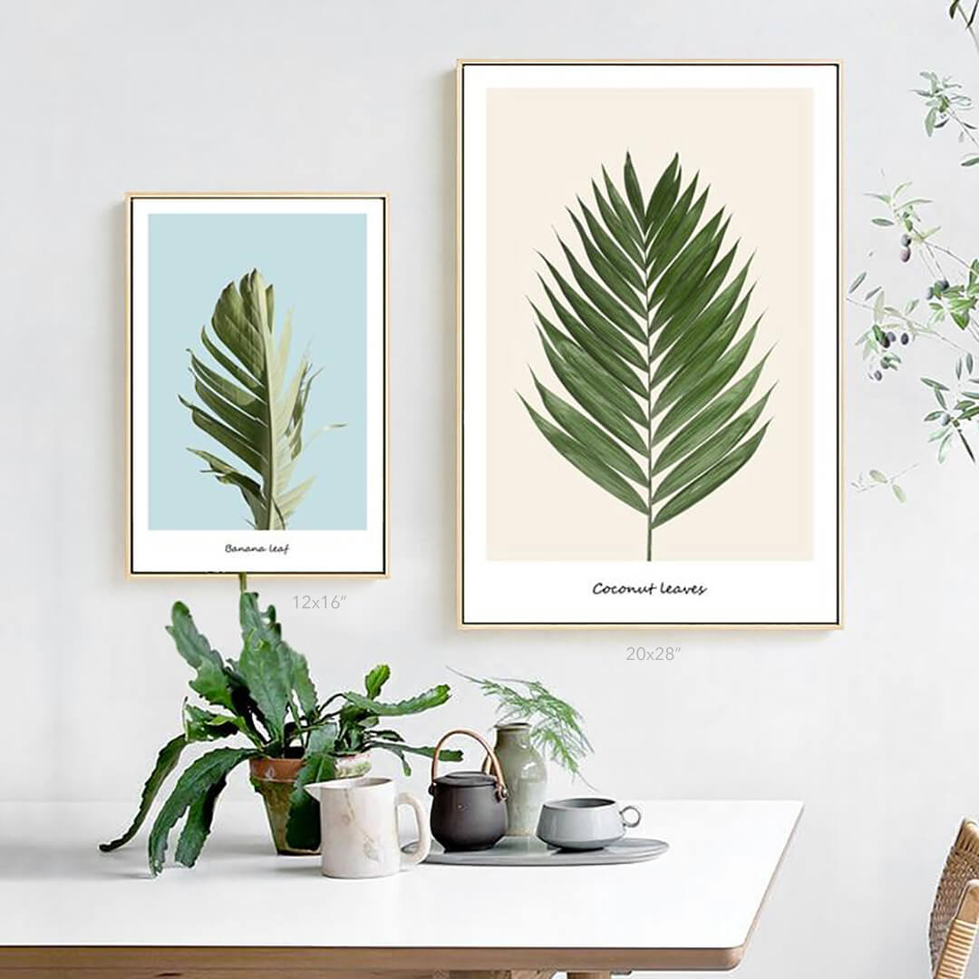 Coconut Leaves