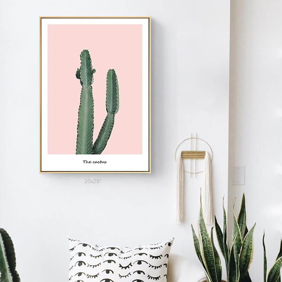 Pink Cactus