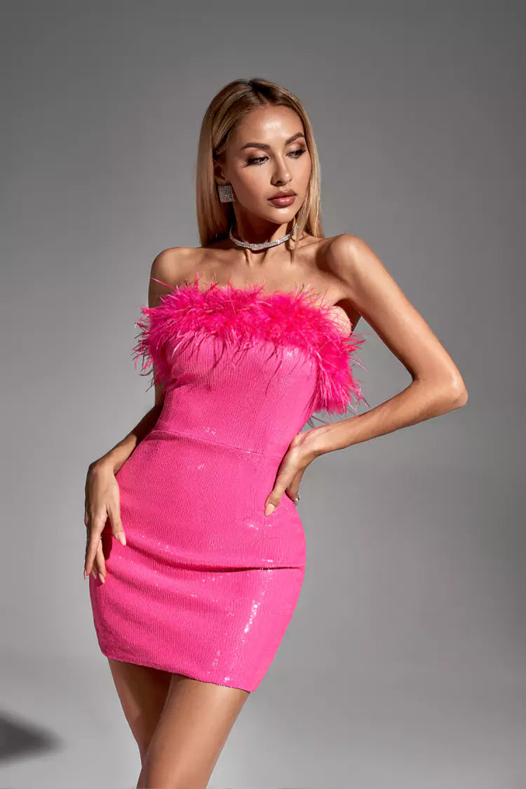 Gemma Pink Feather Mini Dress