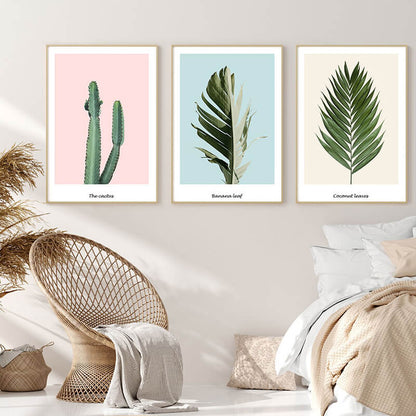 Pink Cactus