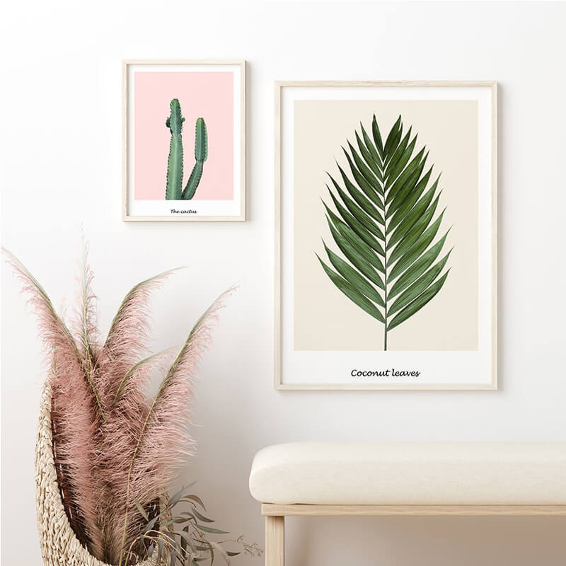 Coconut Leaves