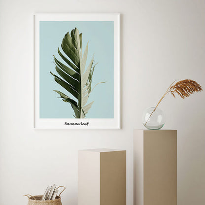Banana Leaf