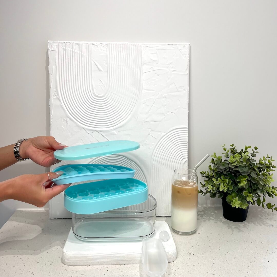 Pastel 2 in 1 Round Ice Cube Maker with Silicone Storage Box