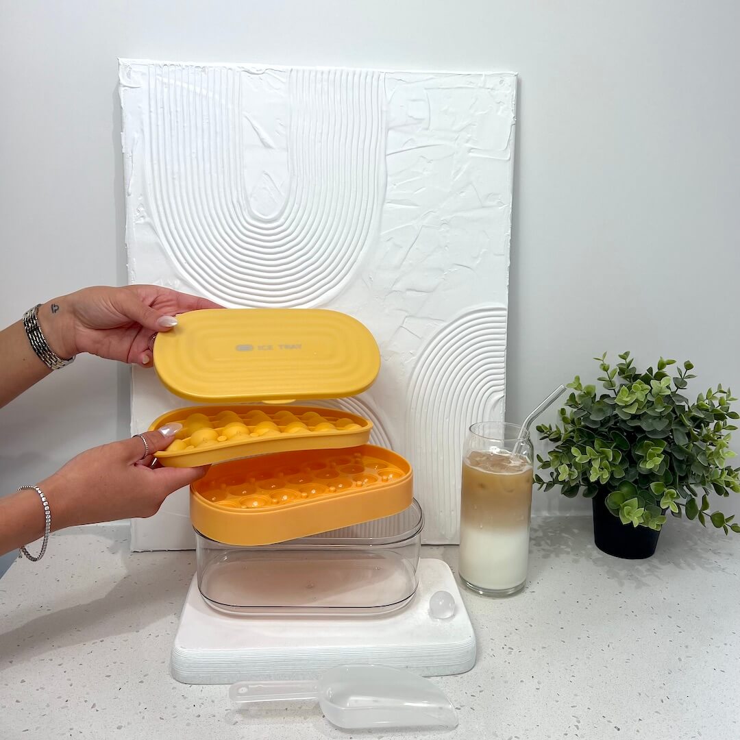 Pastel 2 in 1 Round Ice Cube Maker with Silicone Storage Box