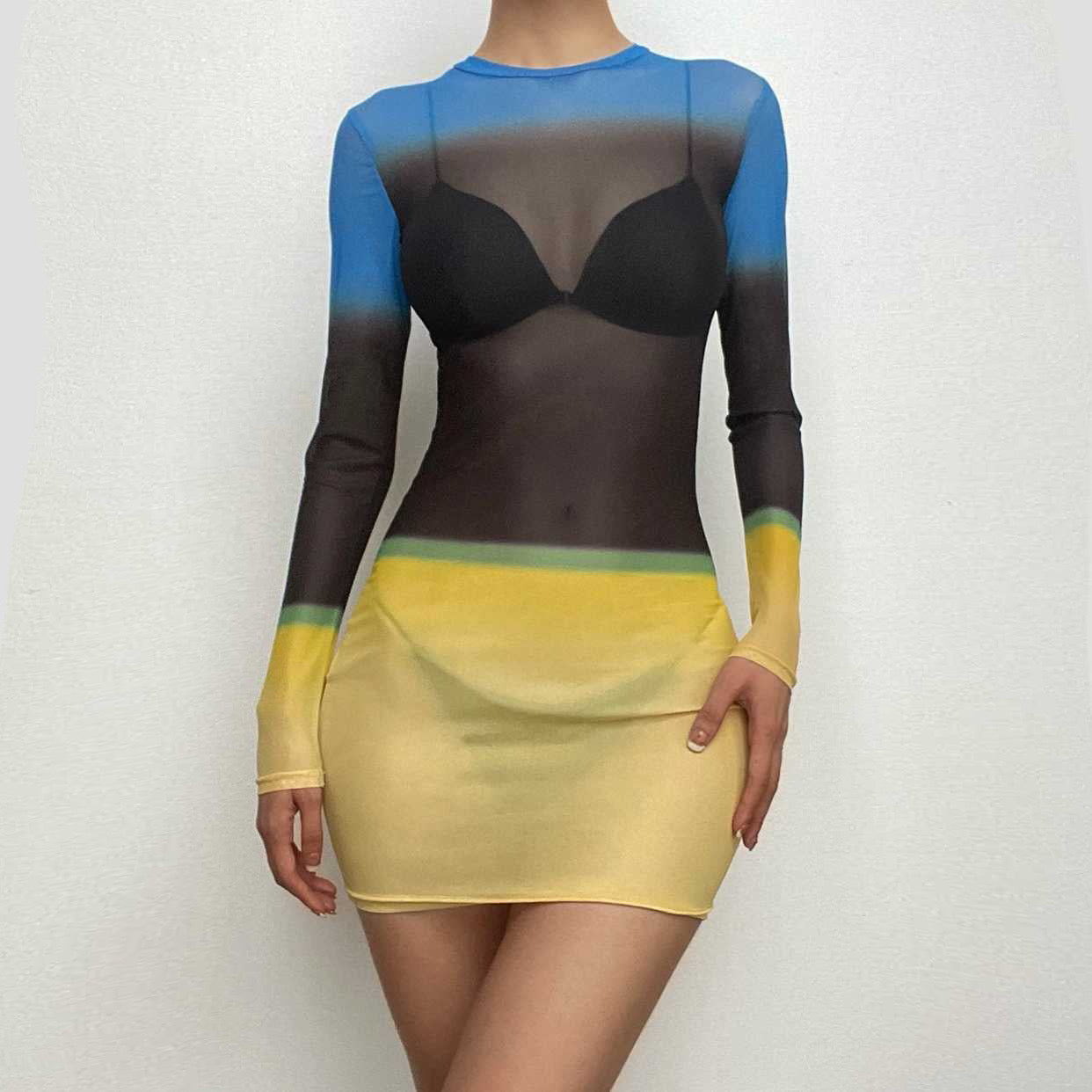 Contrast Sheer Mesh Colorblock Crew Neck Long Sleeve Mini Dress