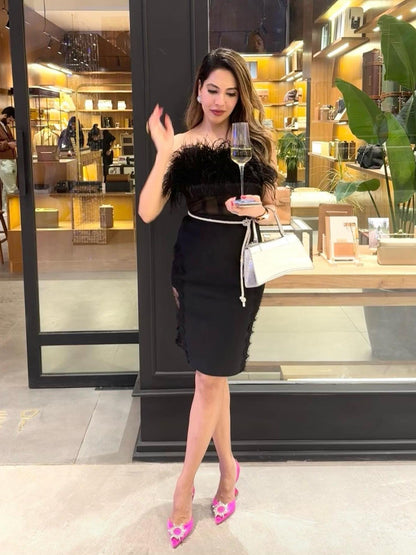 Feather Tube Mesh Corset Dress