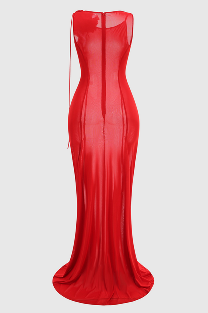 Shaelie Flower Mesh Maxi Dress