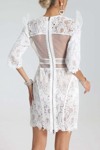 Magnolia Lace-embroidered Mini Dress
