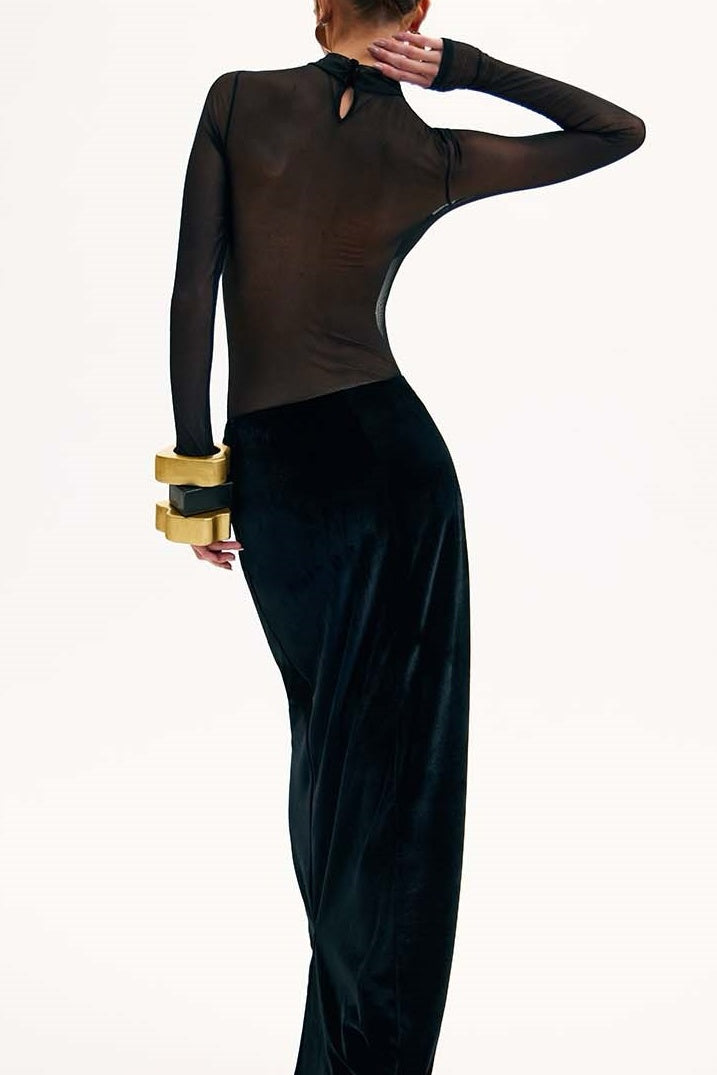 Novalee Mesh Long Sleeve Velvet Maxi Dress