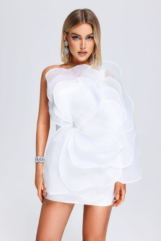 Kylie Mesh Floral Mini Tube Dress