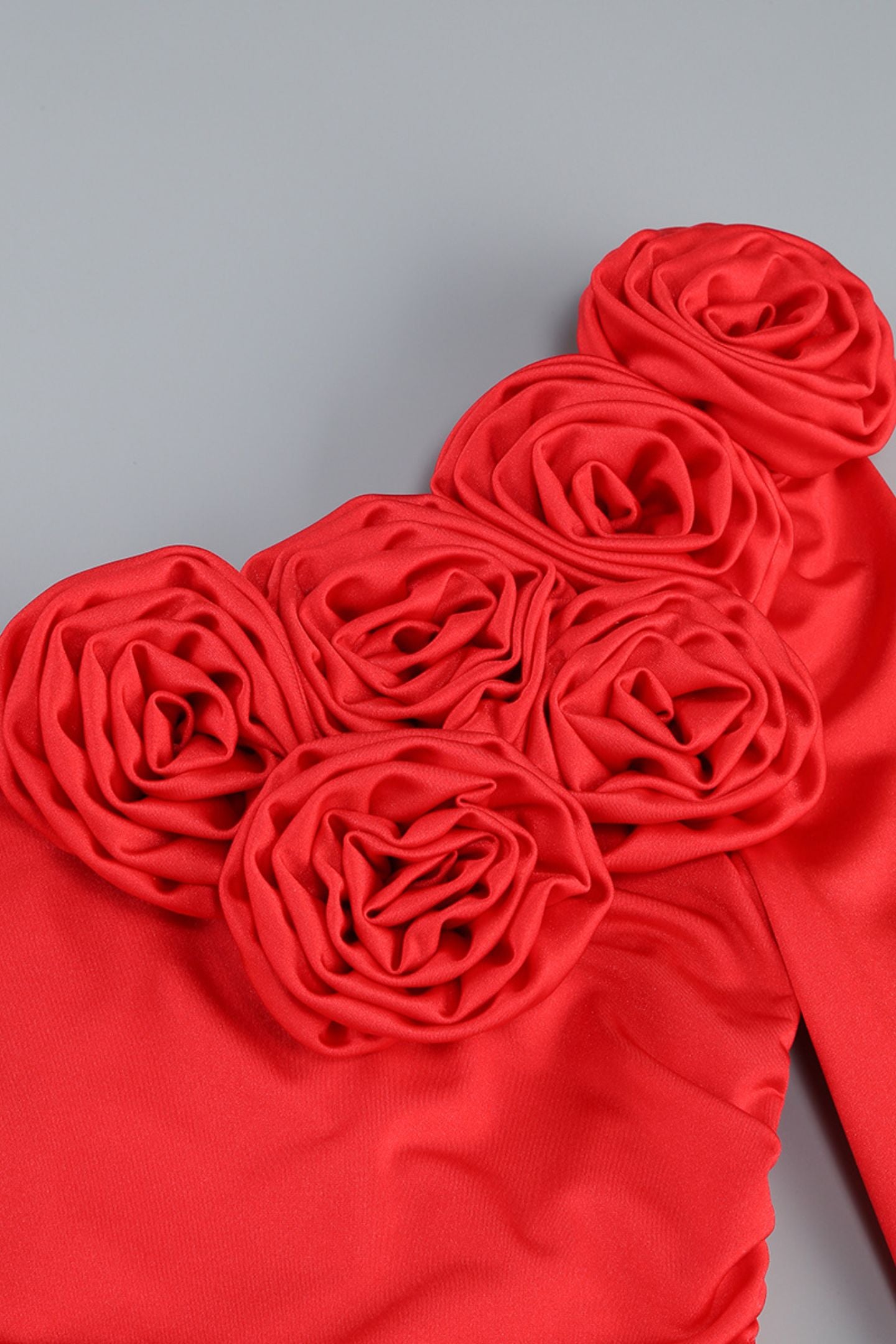 Gabrielle Floral One Shoulder Maxi Dress