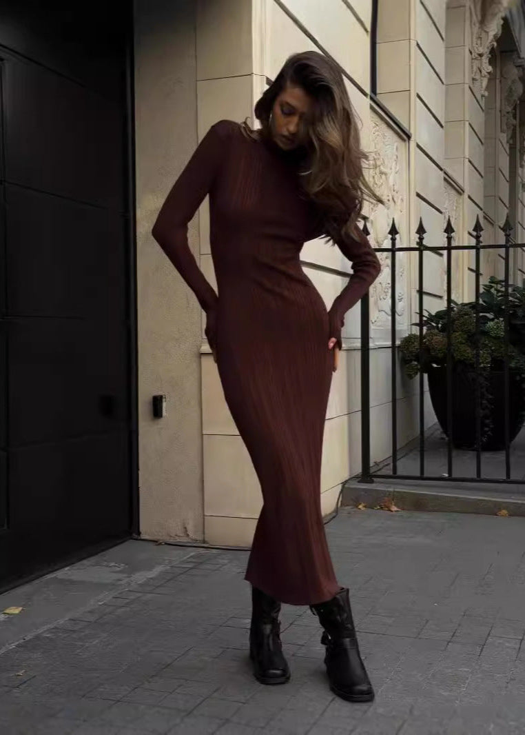 Ribbed Knit Turtleneck Maxi Dress