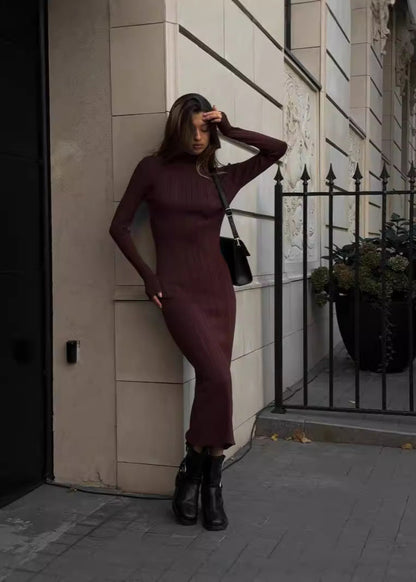 Ribbed Knit Turtleneck Maxi Dress