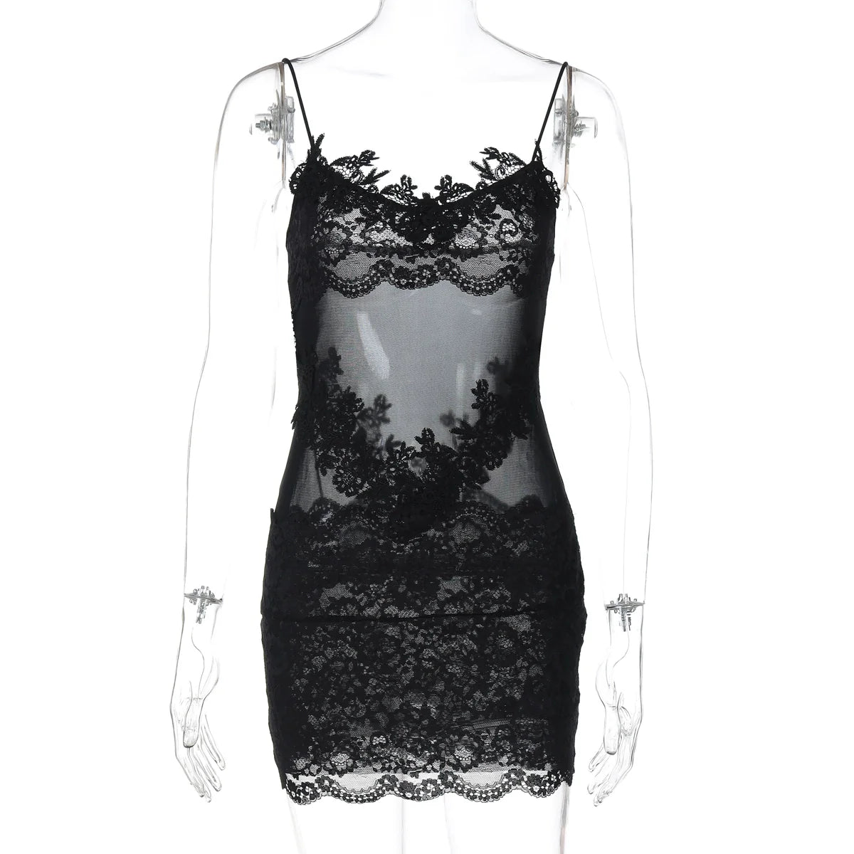 Whitleigh Lace Mesh Mini Dress