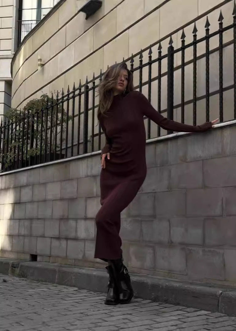 Ribbed Knit Turtleneck Maxi Dress