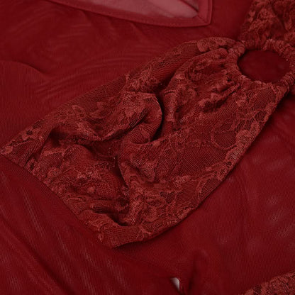V neck long sleeve o ring lace mesh top