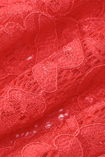 Susanna Long Sleeve Sheer Lace Maxi Dress