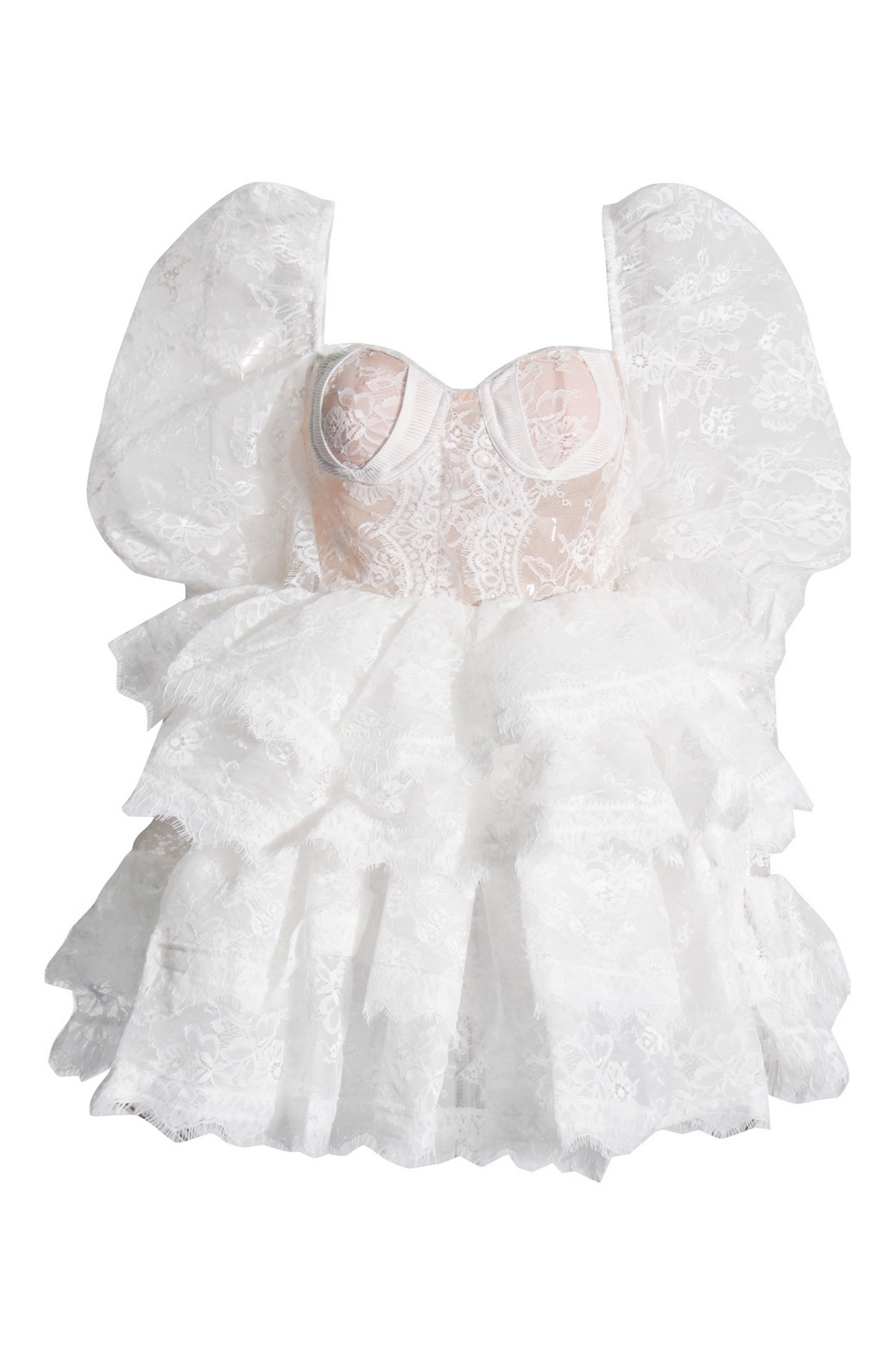 Bonnie Embroidered Lace Puff Sleeve Mini Dress