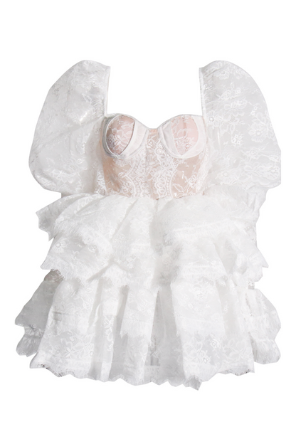 Bonnie Embroidered Lace Puff Sleeve Mini Dress