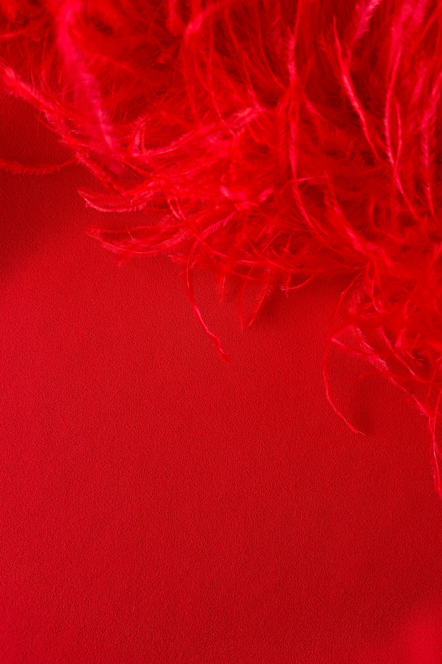 Veronica Feather Trim Strapless Maxi Dress