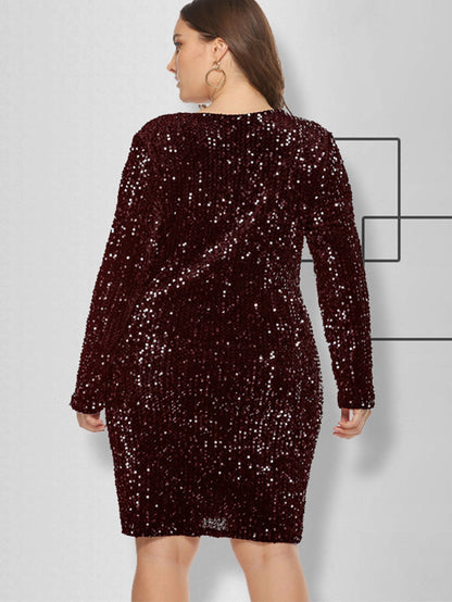 Sequin V Neck Long Sleeve Bodycon Mini Dress
