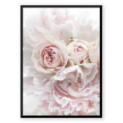 Pink Flower