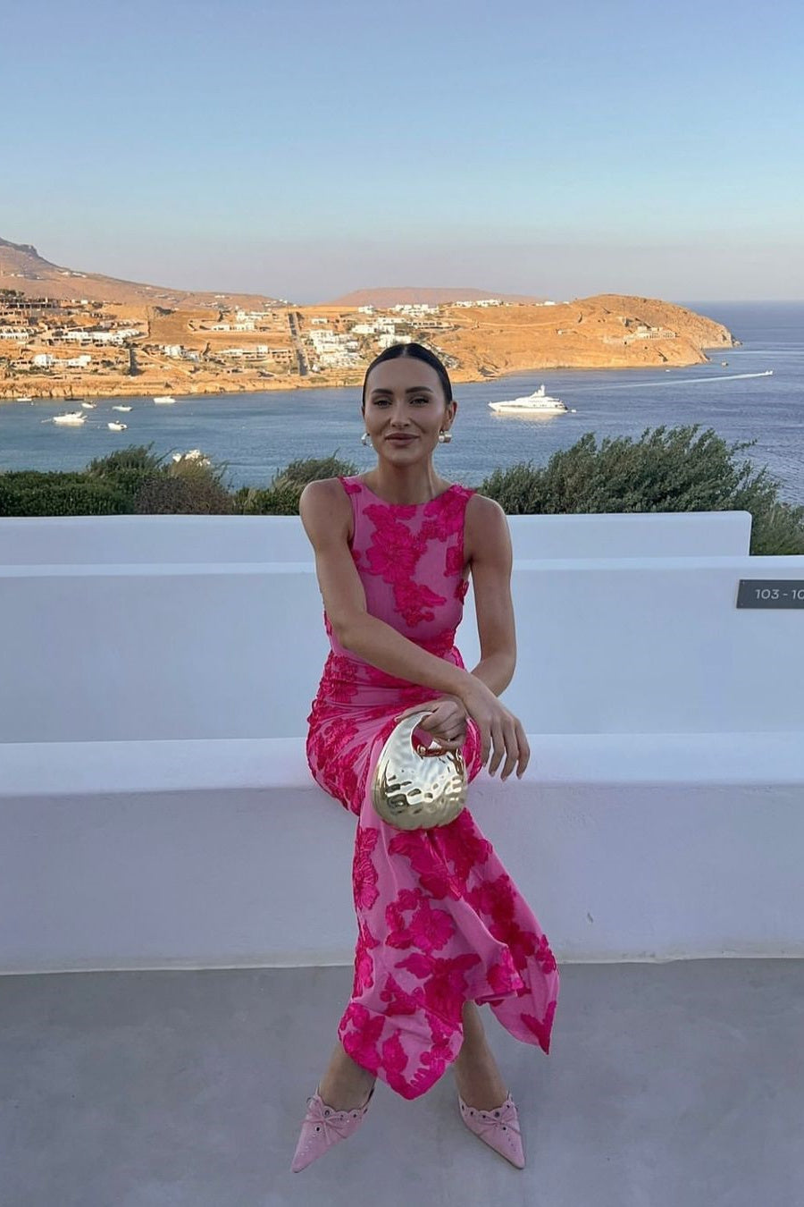 Barbara Floral Appliqu茅 Mesh Maxi Dress