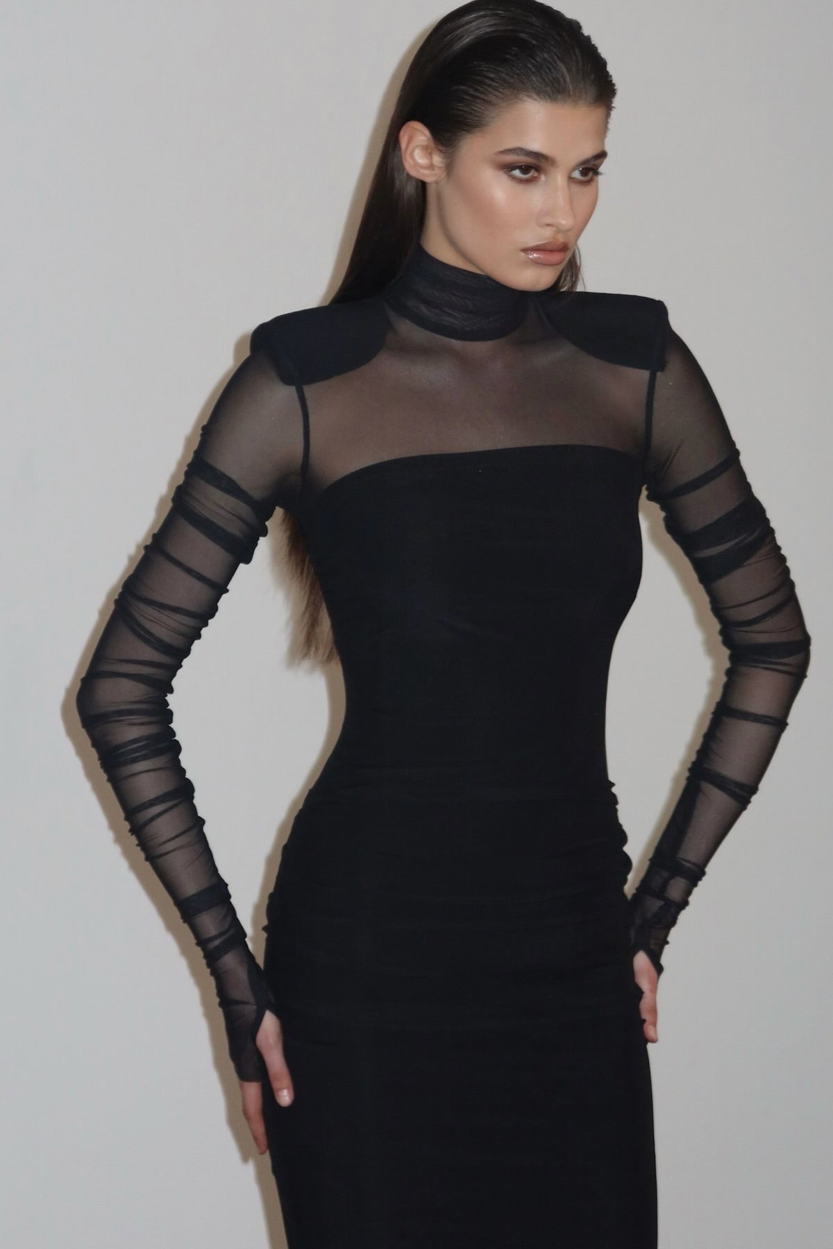 Virginia Long Sleeve Semi-sheer Maxi Dress