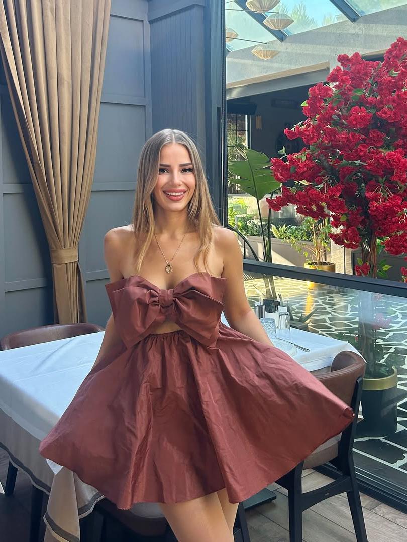 Brown Bow Tie Mini Dress