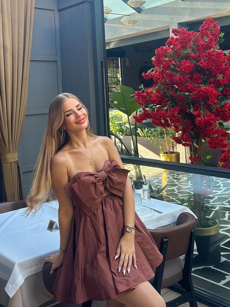 Brown Bow Tie Mini Dress