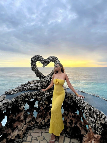 Flower Applique Halterneck Crochet Backless Dress