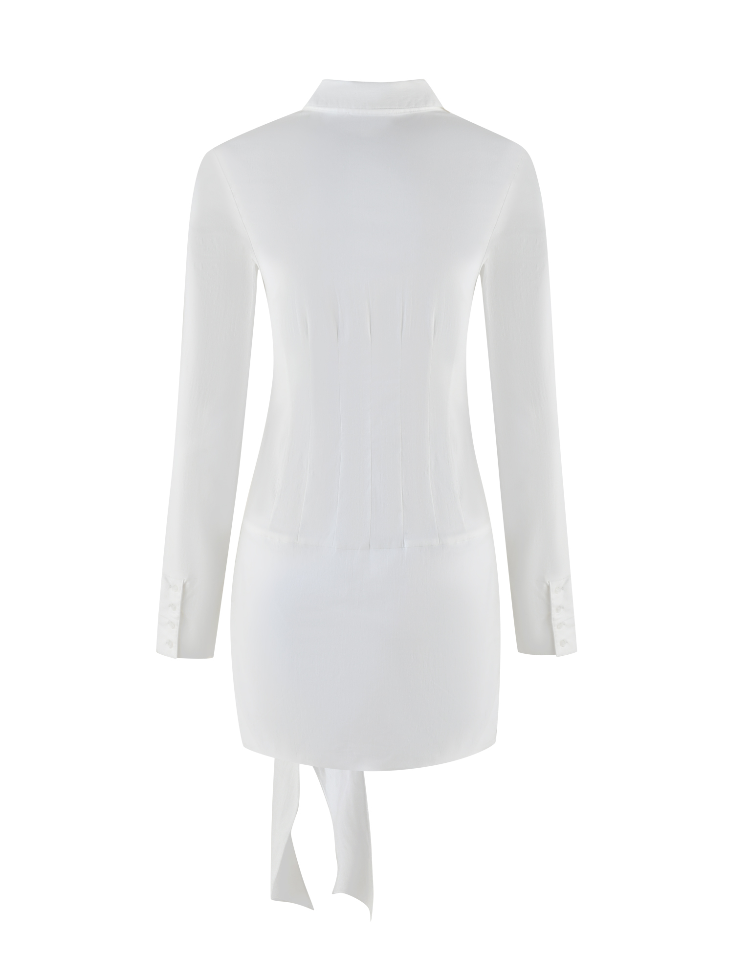 Point Collar Button Front Corset Panel Side Tie Wrap Mini Dress