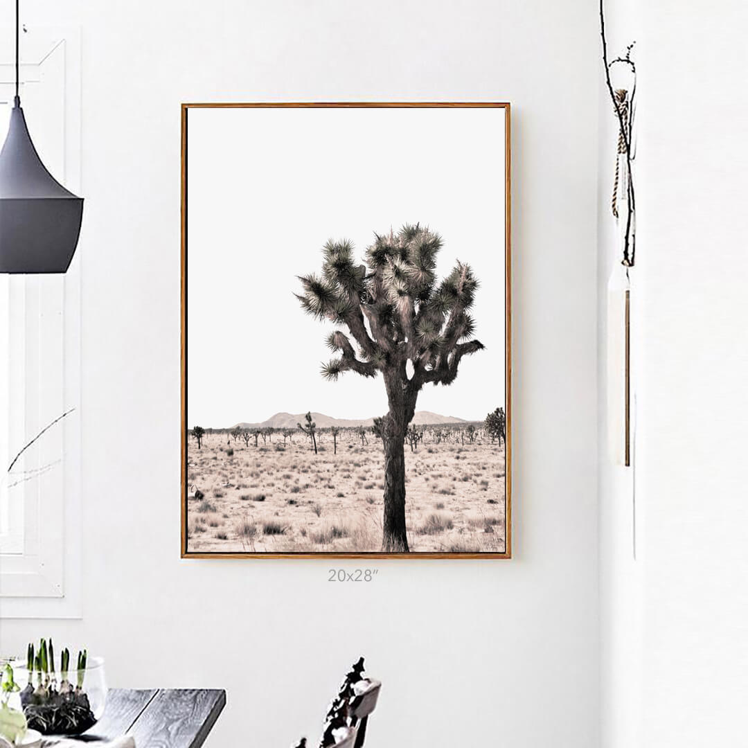 Joshua Tree