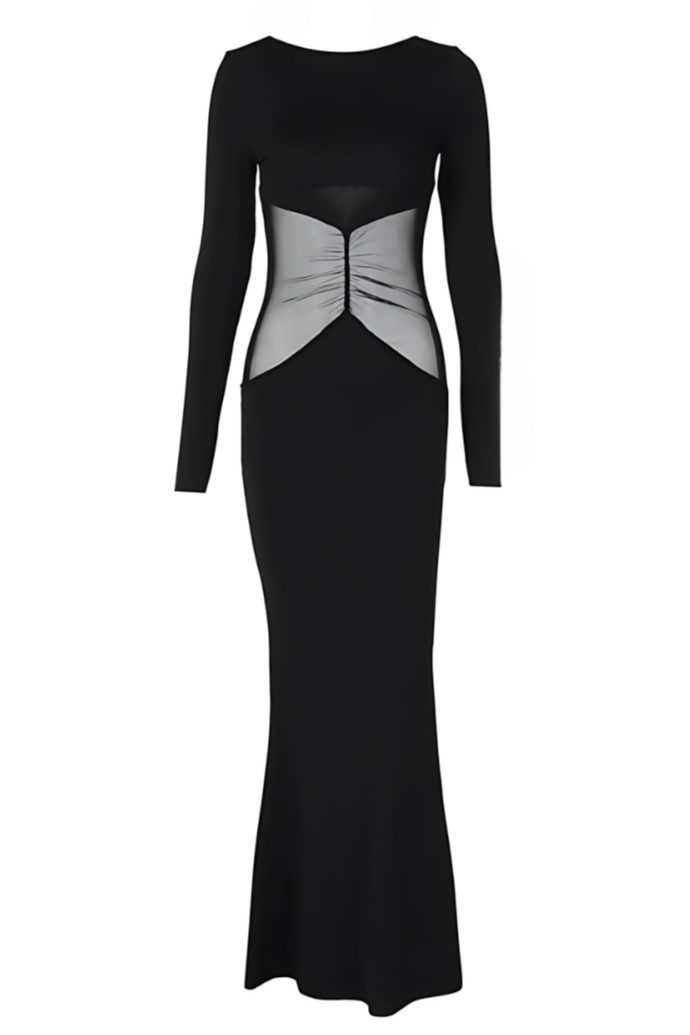 Phoenix Long Sleeve Sheer Mesh Maxi Dress