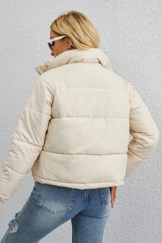 Modern Cropped Puffy Puffer Jacket