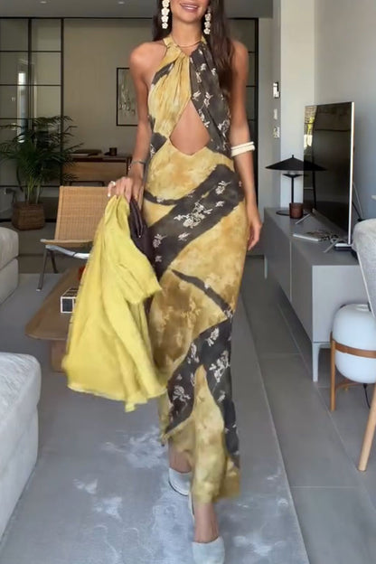 Ninah Color-block Floral Print Cutout Adjustable Halter Neck Maxi Dress