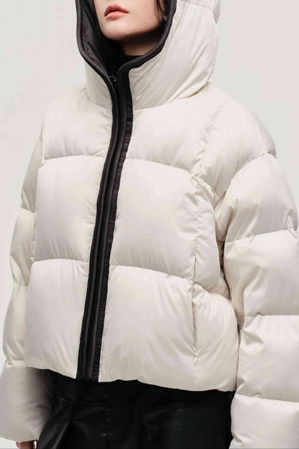 Cozy Hooded Insulated Puffer Jacket