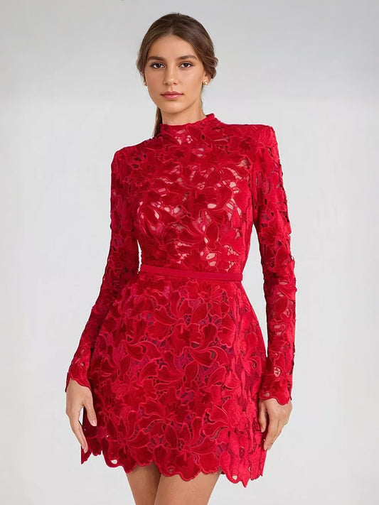 Lace Dress High Neck Long Sleeve Birthday Party Spring Mini Dress For Women 2026