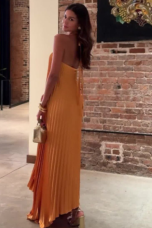 Novia Halter Neck Pleated Maxi Dress
