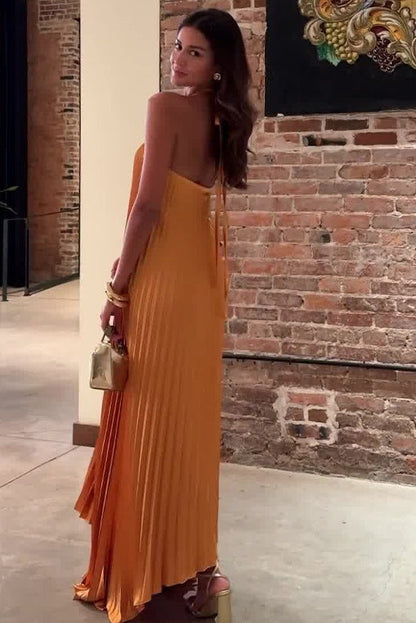 Novia Halter Neck Pleated Maxi Dress