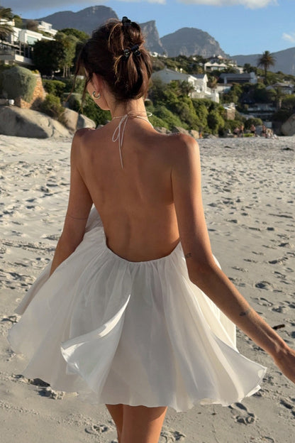 Halter Neck Metal Clasp Backless Tiered Ruffle Chiffon Mini Dress