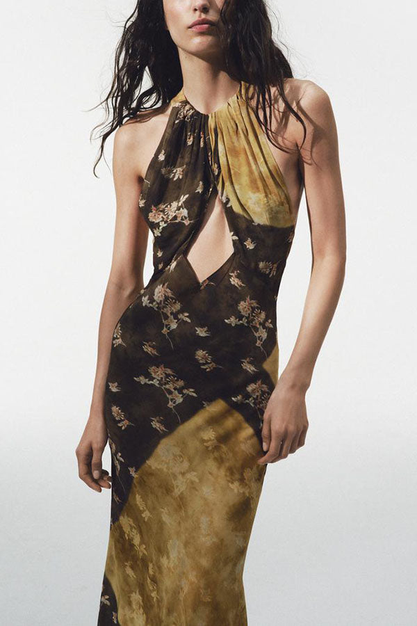 Ninah Color-block Floral Print Cutout Adjustable Halter Neck Maxi Dress