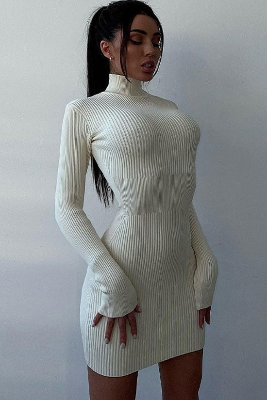 Turtleneck Long Sleeve Rib Knit Bodycon Mini Dress