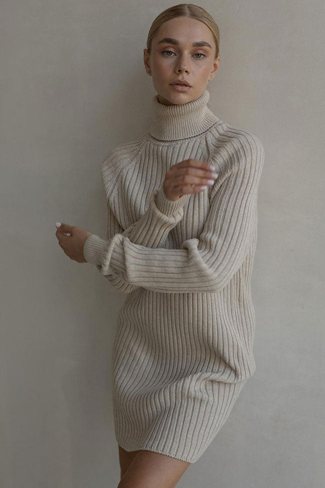 Oversized Turtleneck Ribbed Knit Long Sleeve Sweater Mini Dress